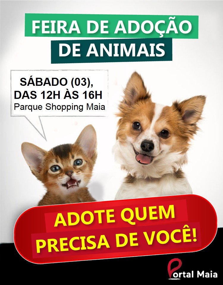  feira de adoção de pets no Shopping Maia